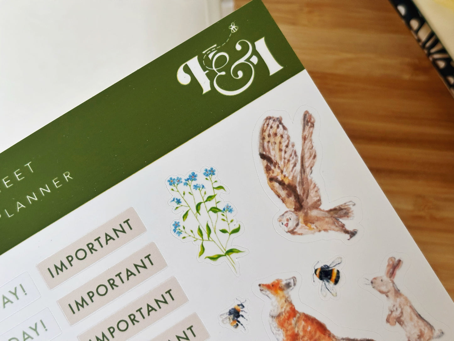 Springtime Mother’s Day Gift Box