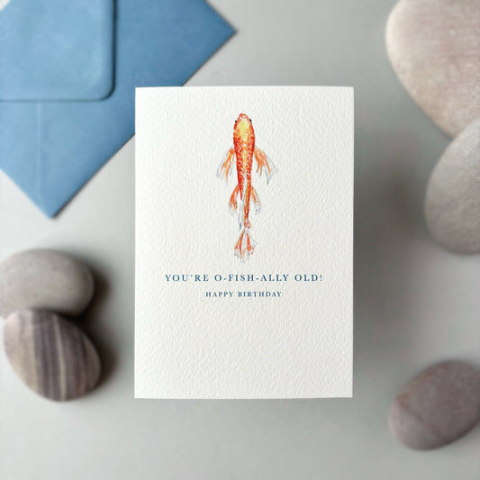 Birthday card with koi fish illustration and humorous text, placed on a surface with stones and a blue envelope.