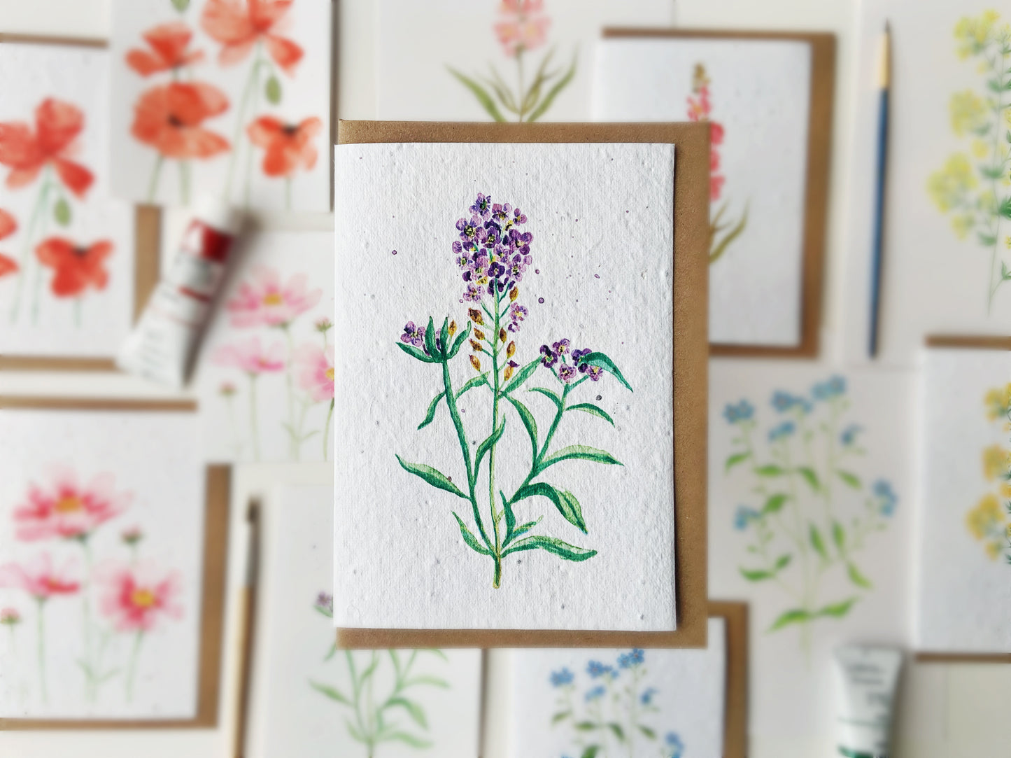 Sweet Alyssum | Wildflower Seed Plantable Card