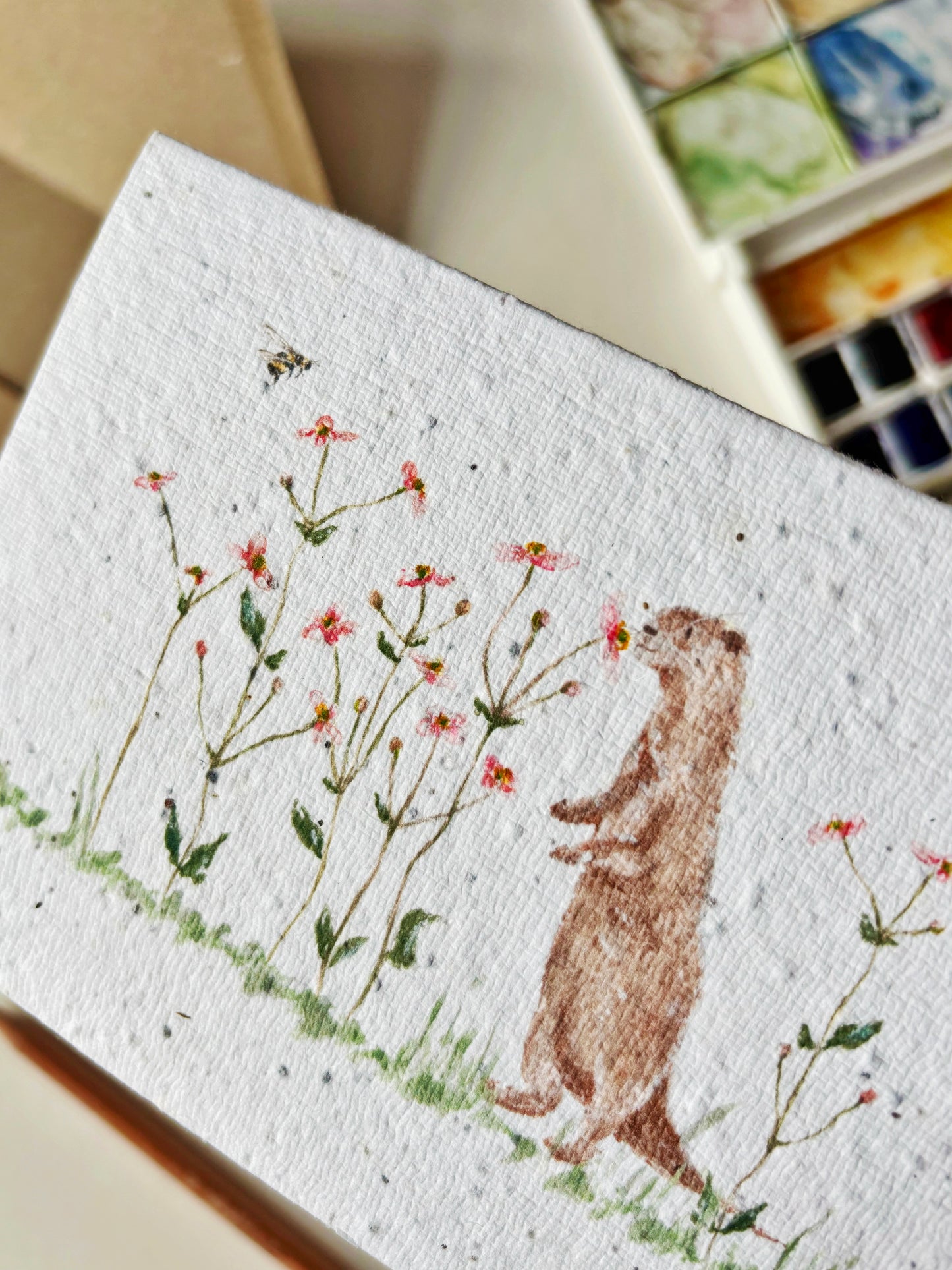 Otter & Anemone Card