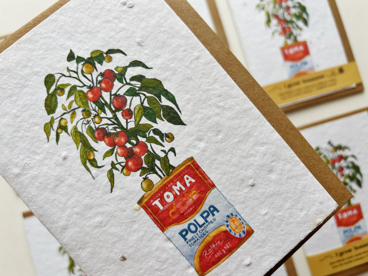 A close-up of a Plantable greeting card that grows tomatoes featuring a vintage-style illustration of a tomato plant with red and yellow tomatoes emerging from a red and blue chopped tomato can. The card is shown with a brown kraft envelope, with other cards blurred in the background.