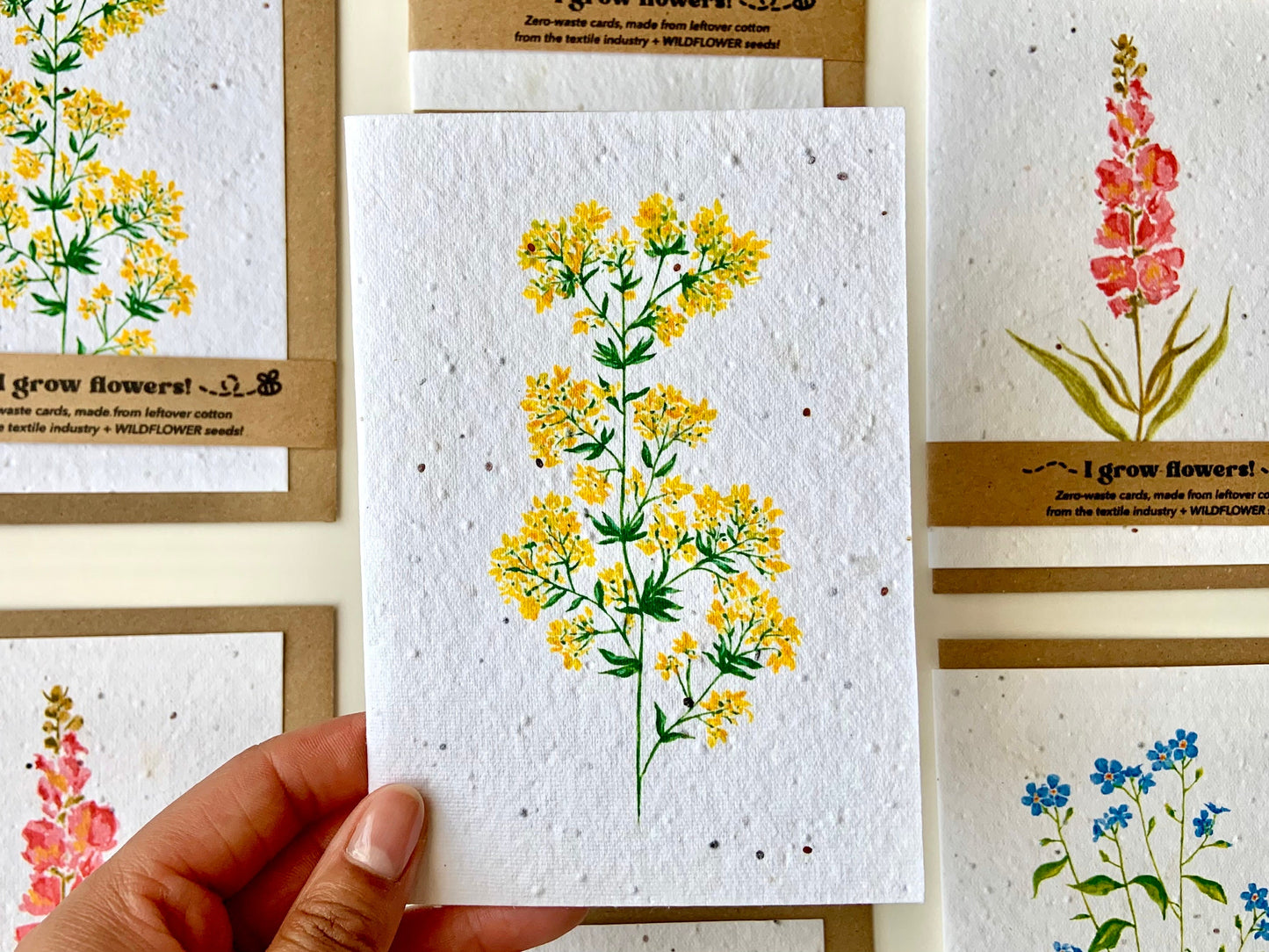 yellow hand painted wildflower seed plantable card, lady's bedstraw wildflower plantable greetings card