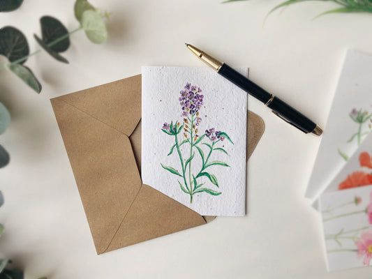 Sweet Alyssum | Wildflower Seed Plantable Card