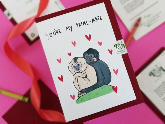 cheeky monkey valentines card featuring two hugging gibbons