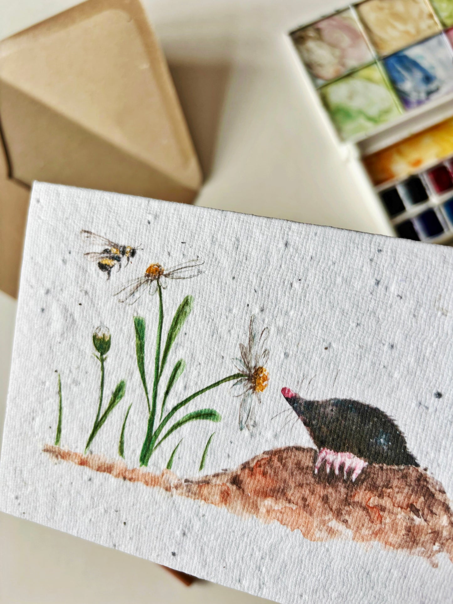 Mole & Daisy Card