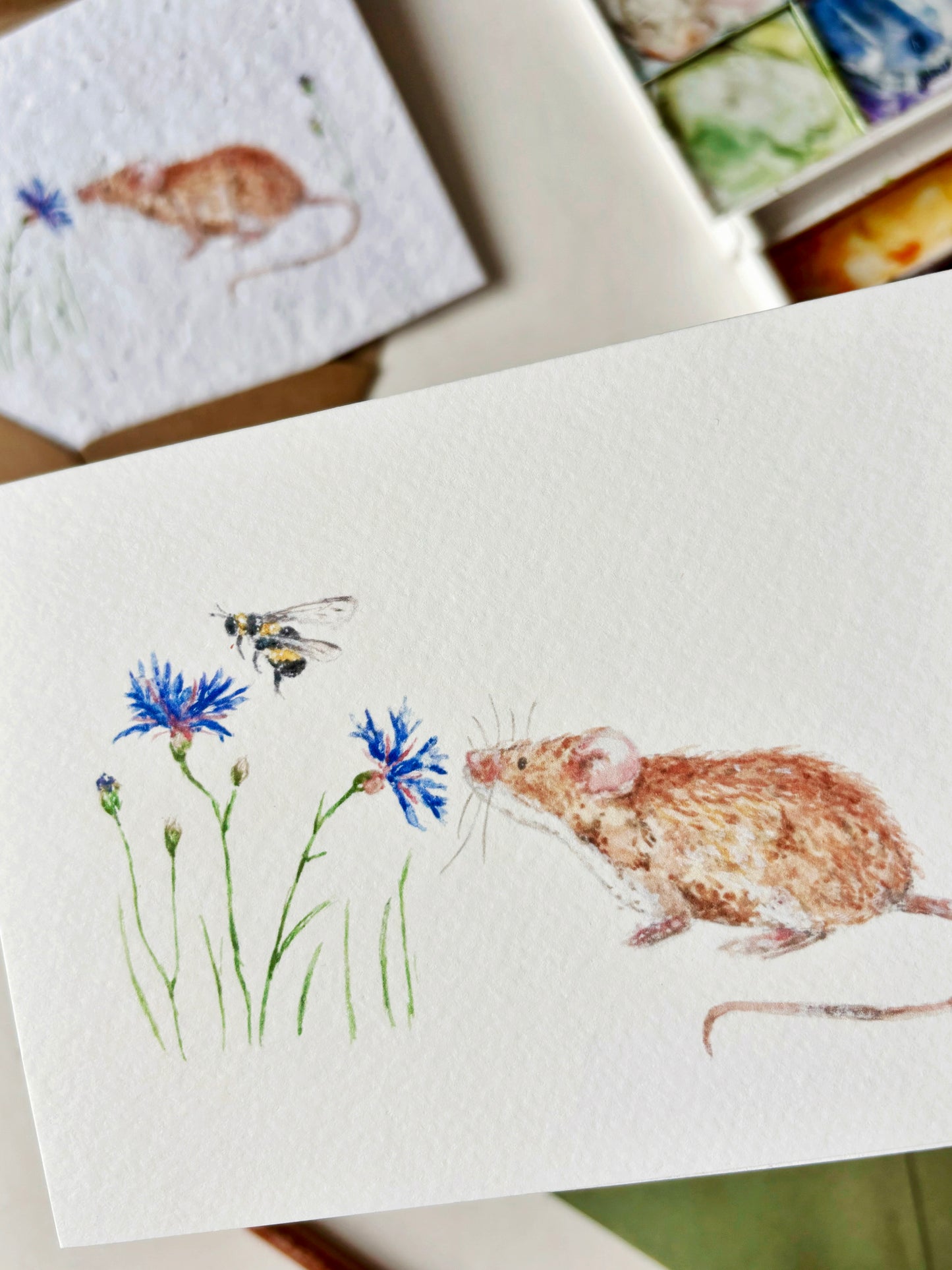 Mouse & Cornflower Card