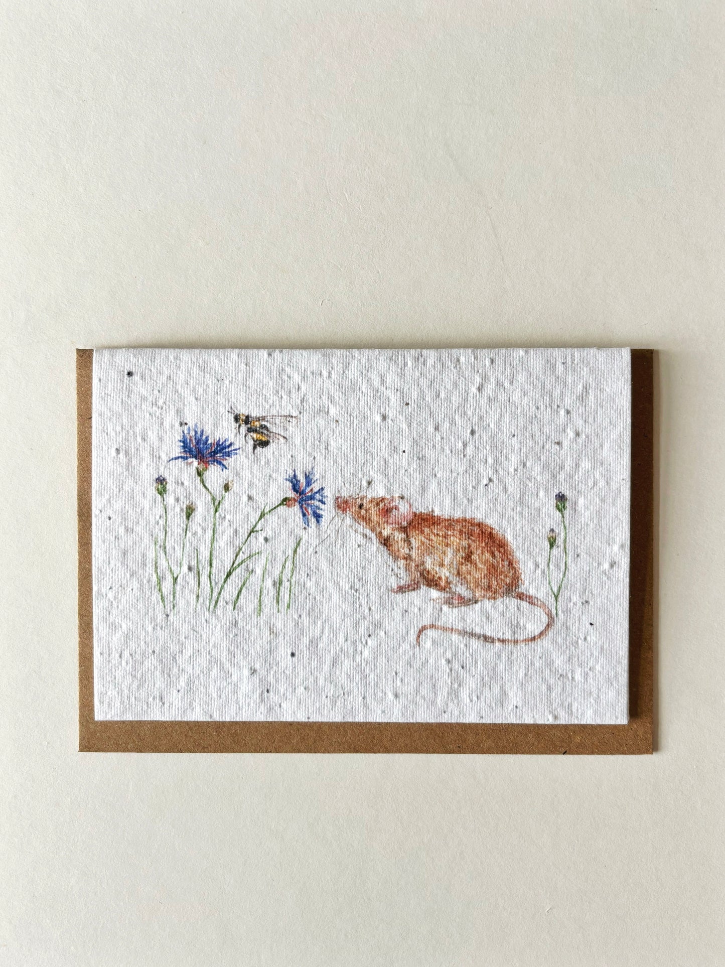Mouse & Cornflower Card