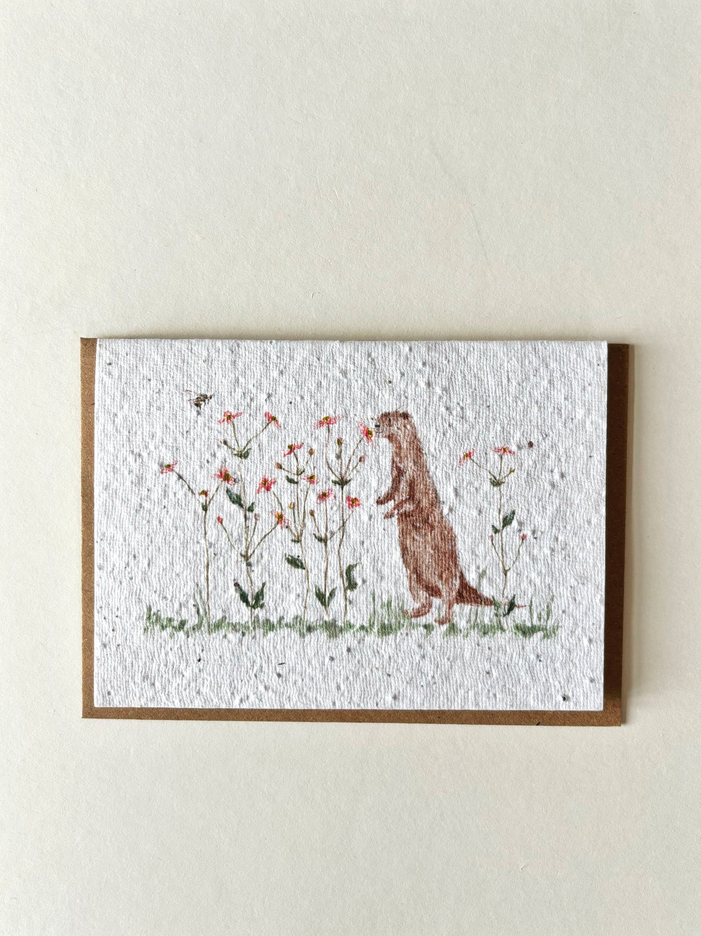 Otter & Anemone Card