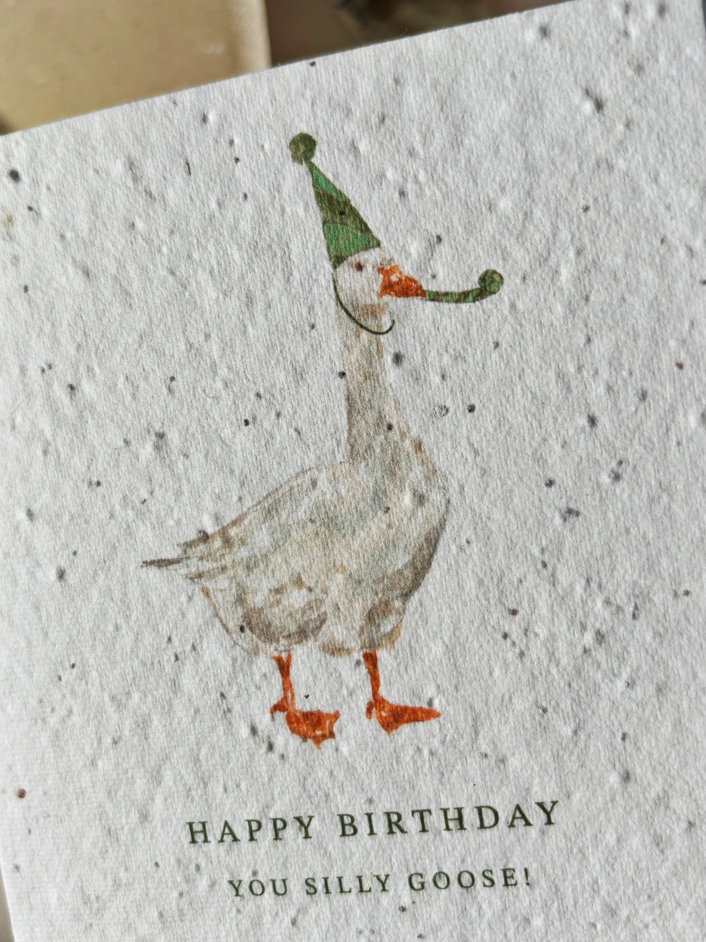 Happy Birthday Silly Goose Card