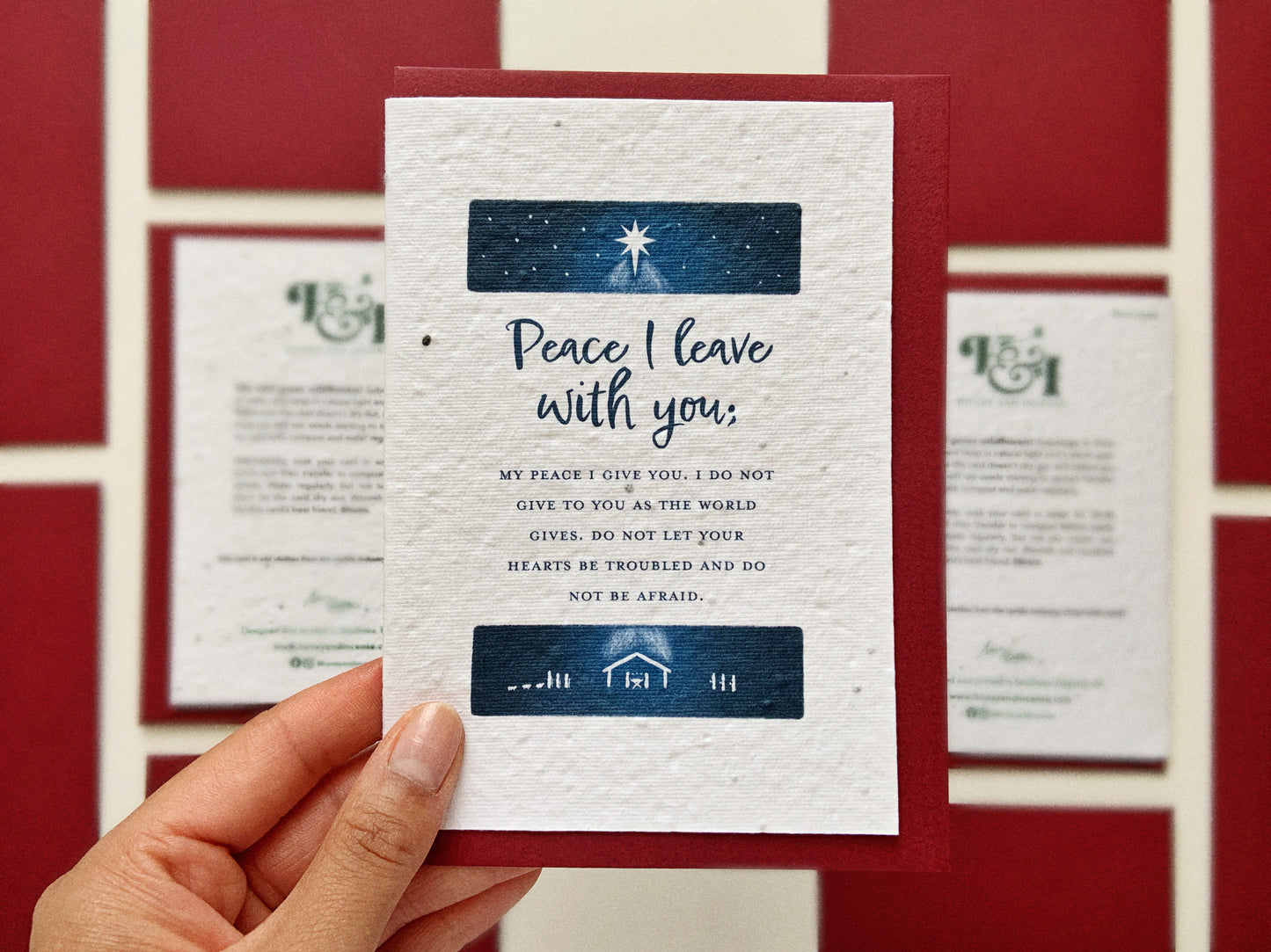 John 14:27 | Wildflower Seed Plantable Card