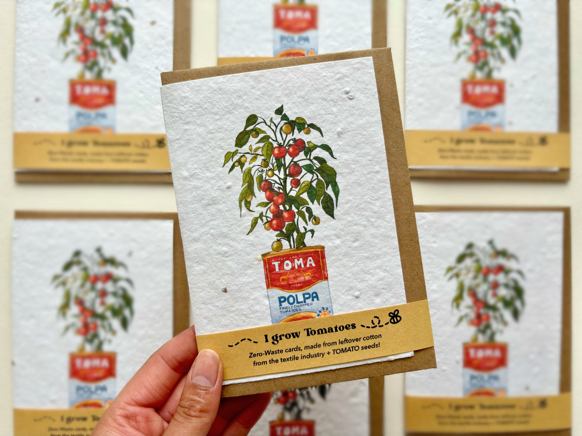 A hand holds a handmade tomato seeded card featuring a watercolour illustration of a tomato plant in a vintage red and blue tomato can, with text reading 'I grow tomatoes' and 'Zero waste seeds, made from flower petals from the tomato industry + TOMATO™ seed!'. Multiple matching cards are displayed in the background on a light wall.