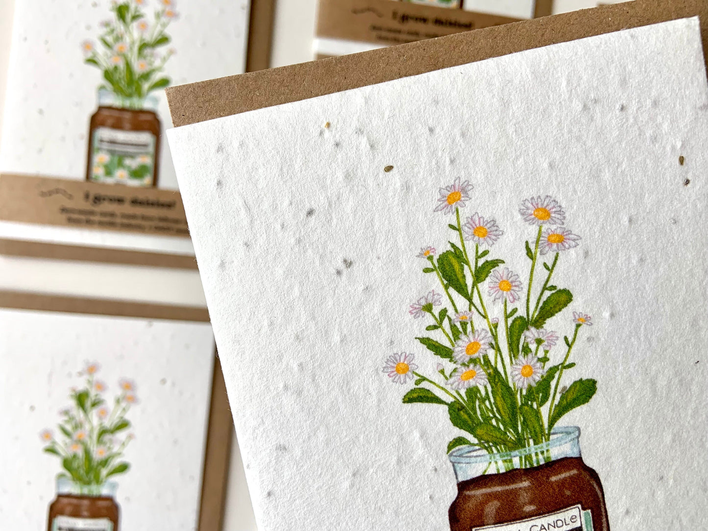 Daisy seed plantable greetings card, card and gift in one