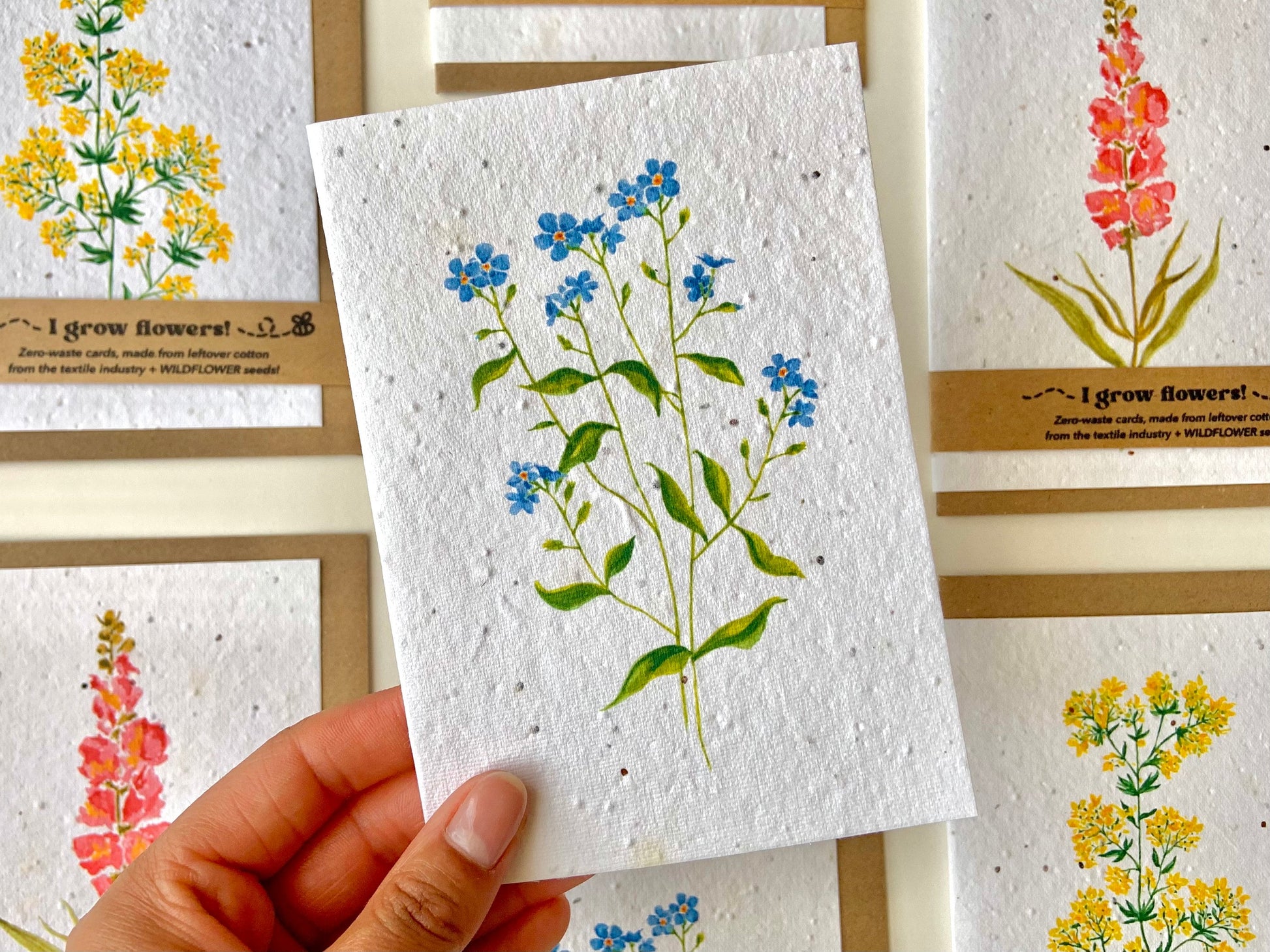 forget-me-not plantable seed greetings card