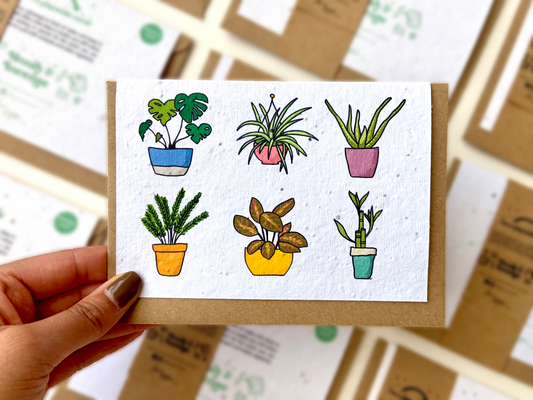 wildflower seed card with house plants on, colourful and bright